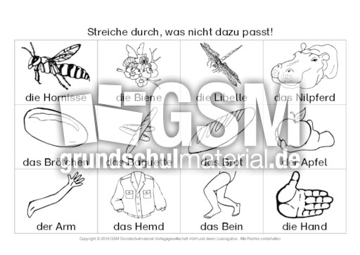 Oberbegriffe-was-passt-nicht-dazu 5.pdf